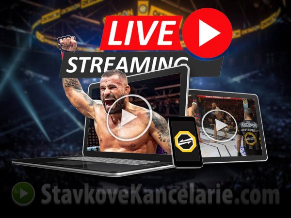 Oktagon 🔴 LIVE – stream zadarmo, PPV online + MMA prenosy v TV