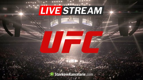 UFC live stream ▶️ kde sledovať MMA zápasy online a zadarmo?